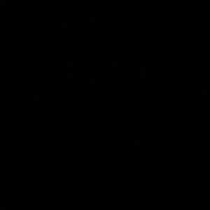 Meet your Posher, Jae